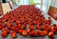 Viele leckere Kreationen aus Erdbeeren