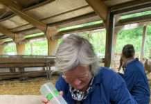 Lernort Bauernhof: Halbzeit beim vierteiligen Lehrgang zur Bauernhofpädagogik im Hofgut Neumühle