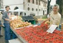 AOK: Essen und Trinken im Sommer