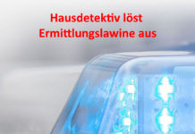 Hausdetektiv löst Ermittlungslawine aus…
