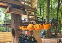 Kletterpark TiLu Adventure – nach Übernahme folgt viel Neues!