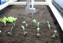 Einladung zum Programmieren: Interessierte können Gartenroboter an der TU Kaiserslautern mitentwickeln