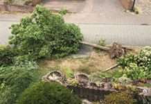 Mehlbach – Mit Lastwagen Baum umgedrückt