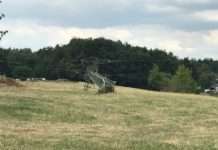 Radlader fährt gegen Strommast – Stromversorgung ausgefallen