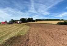 Kollweiler – Verbandsgemeinde Weilerbach: Stoppelfeld fängt Feuer