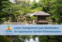 Letzte Gelegenheit zum Waldbaden – Japanischer Garten Kaiserslautern bietet September-Termin an