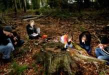 Waldklimaforscher und Outdoor-Überlebenskünstler