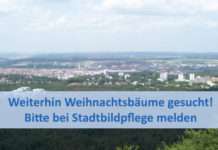 Weiterhin Weihnachtsbäume gesucht! Bitte bei Stadtbildpflege melden