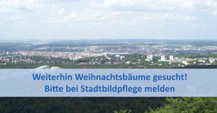 Wald-Stadt250822