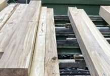 TU Kaiserslautern entwickelt Verfahren, um Buchenholz niedriger Qualität künftig als Träger im Bauwesen nutzbar zu machen