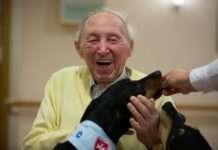 Malteser Hundebesuchsdienst geht in zweite Runde