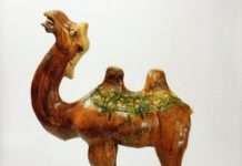 Das baktrische Kamel – Kunstgespräch am Mittag im mpk