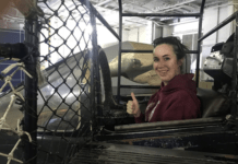 Forschungsstipendiatin zu Gast, AMERICA ON SCREEN: