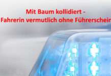 Mit Baum kollidiert – Fahrerin vermutlich ohne Führerschein