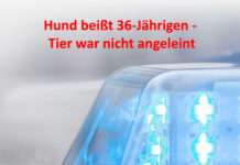 Hund beißt 36-Jährigen – Tier war nicht angeleint