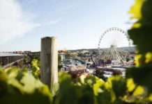 Mit Bus und Bahn zum Bad Dürkheimer Wurstmarkt
