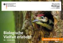 Deutsche Waldtage – Biologische Vielfalt erleben!