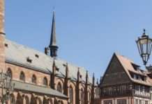 Deutsch-französischer Biosphären-Bauernmarkt in Grünstadt – Nachhaltigkeit, Genuss und Musik