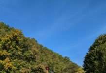 Seit dem 1. September – Kürbisausstellung „Welt der Musik“