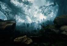 Ausstellung zur Kulturgeschichte des Pfälzerwalds bis 16. Oktober verlängert