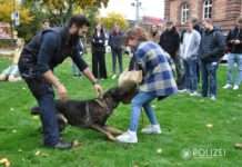 Herbstferien für Schnupperpraktikum genutzt