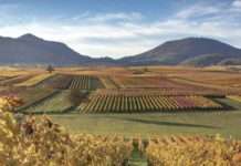 Vor 30 Jahren: Anerkennung Biosphärenreservat Pfälzerwald durch die UNESCO