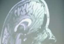 ‚Nachhaltigkeit muss die Party sein, auf die alle wollen‘