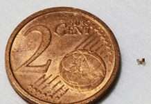 Mini-Sensoren aus dem 3D-Drucker