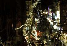 Bäume in der Innenstadt bekommen Weihnachtsbeleuchtung