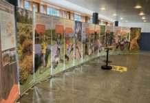 Modellorte für nachhaltige Entwicklung und Klimaschutz