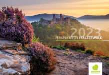 Alles eine Frage der Perspektive!