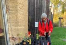 Haus der Nachhaltigkeit gibt wieder Sträucher gegen Spende ab.