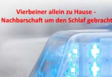 Vierbeiner allein zu Hause – Nachbarschaft um den Schlaf gebracht