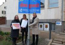 25. November: Internationaler Tag gegen Gewalt an Frauen