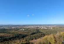 Waldpflegearbeiten am Uni-Wohngebiet (Januar und Februar)