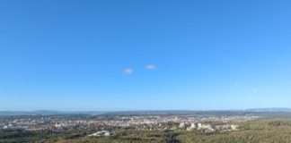 Waldpflegearbeiten am Uni-Wohngebiet (Januar und Februar)