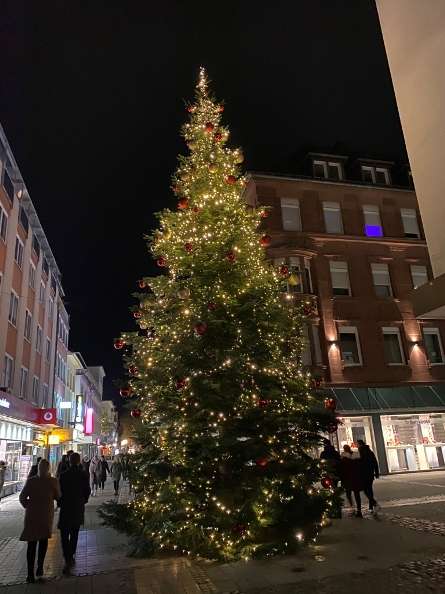 Weihnachtsbaum_Fackelstraße2022