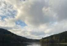 Der Gelterswoog-ein Quell der Freude?