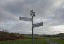 Stadt und Nabu unterstützen Vogelschutz am Siegelbacher Regenrückhaltebecken