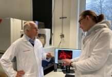 Zweibrücker Forscher entdecken neuen Mechanismus bei der Alzheimer-Erkrankung