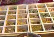 Winterluft und Räucherduft – Seminar zum Verräuchern einheimischer Harze und Kräuter in den Rauhnächten