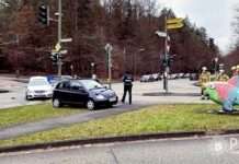 Zwei Autos und ein Fisch beschädigt