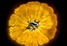 CampusKultur – Vernissage „Andere Welt“