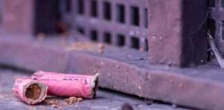 Böller setzt Baum in Brand