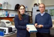 Fonds der Chemischen Industrie fördert Hochschullehre: TU Kaiserslautern erhält 21.000 Euro