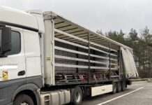 Kontrolle des gewerblichen Güterverkehrs auf der A 6