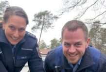 Autobahnpolizei rettet verletzten Bussard