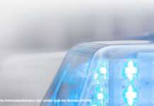 Ebling will Blaulicht und Einsatzhorn für Ordnungsämter ermöglichen