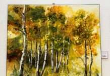 Ausstellung: „Bunte Vielfalt in Aquarell und Acryl“