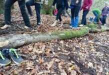 Junge Entdecker und Entdeckerinnen im Pfälzerwald